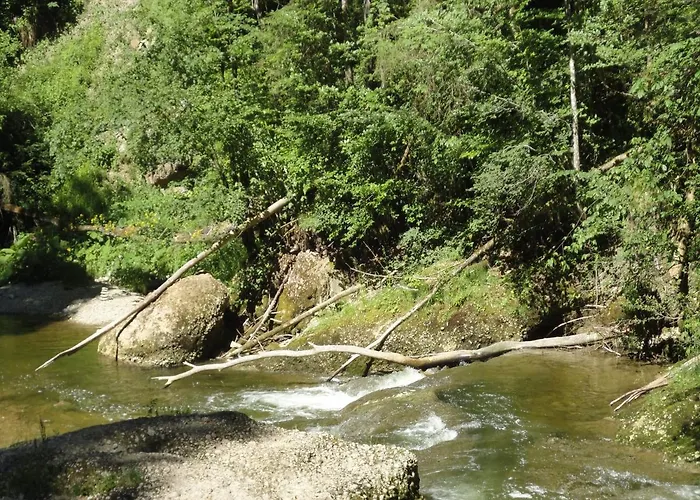 Lore ויילר-זימרברג